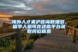 海外人才来沪咨询数增多，留学人员可在这些平台获取岗位信息