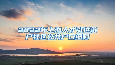 2022年上海人才引进落户社区公共户口细则