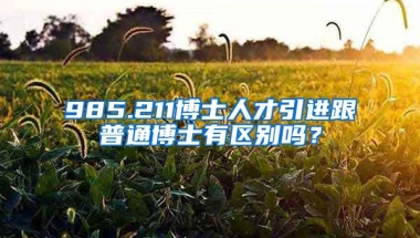 985.211博士人才引进跟普通博士有区别吗？