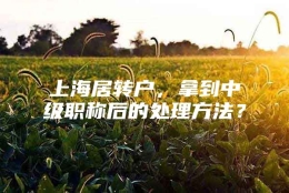 上海居转户，拿到中级职称后的处理方法？