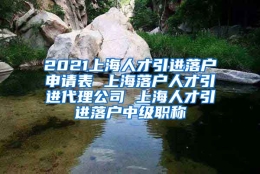 2021上海人才引进落户申请表 上海落户人才引进代理公司 上海人才引进落户中级职称