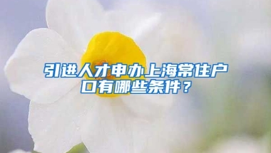 引进人才申办上海常住户口有哪些条件？