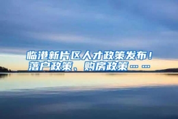 临港新片区人才政策发布！落户政策、购房政策……