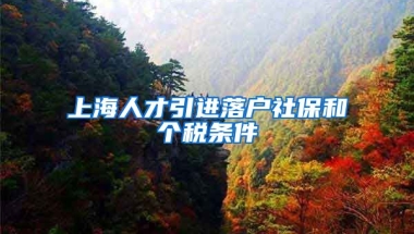 上海人才引进落户社保和个税条件