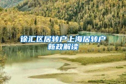 徐汇区居转户上海居转户新政解读