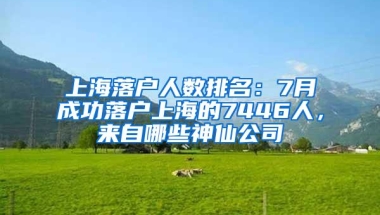 上海落户人数排名：7月成功落户上海的7446人，来自哪些神仙公司