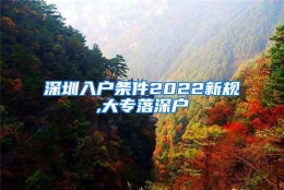 深圳入户条件2022新规,大专落深户