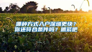 哪种方式入户深圳更快？你还符合条件吗？抓紧吧