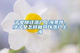 子女随迁落户上海条件，继子女怎样就可以落户上海