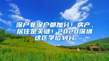 深户非深户都加分！房产、居住是关键！2020深圳这区学位划分