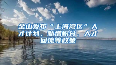 金山发布“上海湾区”人才计划，新增积分、人才回流等政策