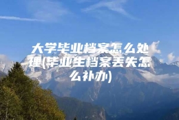 大学毕业档案怎么处理(毕业生档案丢失怎么补办)