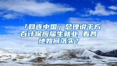 「网连中国」总理说千方百计保应届生就业 看各地如何落实？