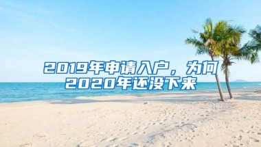 2019年申请入户，为何2020年还没下来