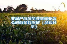 非深户应届毕业生就业怎么调档案到深圳（经验分享）