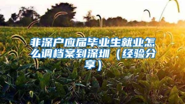 非深户应届毕业生就业怎么调档案到深圳（经验分享）