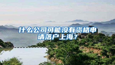 什么公司可能没有资格申请落户上海？