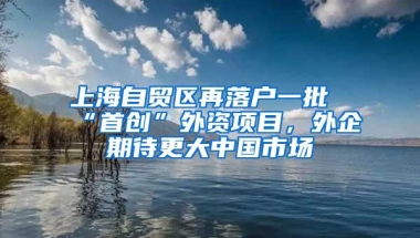 上海自贸区再落户一批“首创”外资项目，外企期待更大中国市场