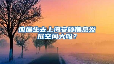 应届生去上海安硕信息发展空间大吗？