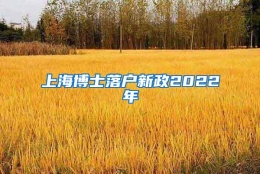 上海博士落户新政2022年