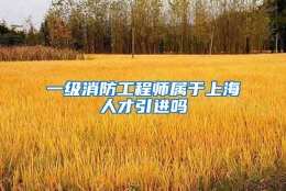 一级消防工程师属于上海人才引进吗