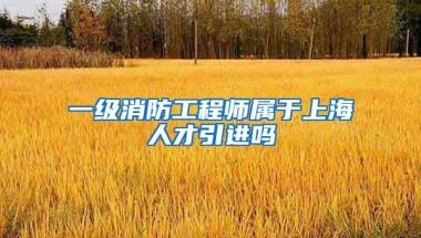 一级消防工程师属于上海人才引进吗