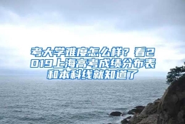 考大学难度怎么样？看2019上海高考成绩分布表和本科线就知道了