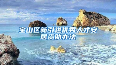 宝山区新引进优秀人才安居资助办法