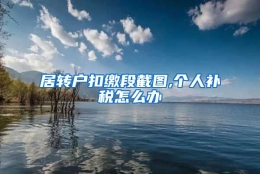 居转户扣缴段截图,个人补税怎么办