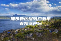 浦东新区居转户五年直接落户吗