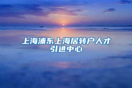 上海浦东上海居转户人才引进中心