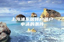 上海浦东居转户落户申请的条件