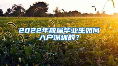 2022年应届毕业生如何入户深圳的？