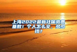 上海2022最新社保缴费基数！个人怎么交，多少钱？