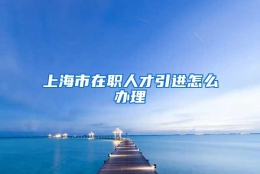 上海市在职人才引进怎么办理