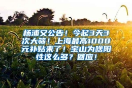 杨浦又公告！今起3天3次大筛！上海最高1000元补贴来了！宝山为啥阳性这么多？回应！