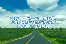 您好，想问一下，授权的实用新型专利可以在应届生落户上海加分吗