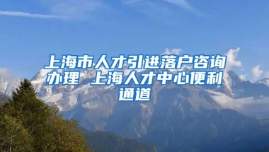 上海市人才引进落户咨询办理 上海人才中心便利通道