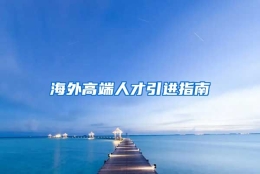 海外高端人才引进指南