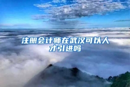 注册会计师在武汉可以人才引进吗