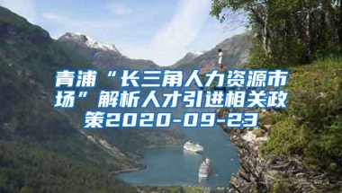 青浦“长三角人力资源市场”解析人才引进相关政策2020-09-23