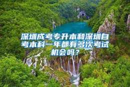 深圳成考专升本和深圳自考本科一年都有多次考试机会吗？