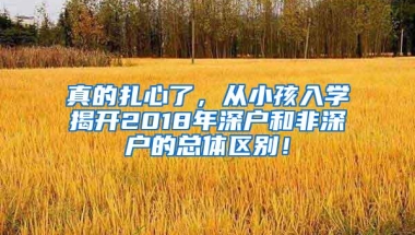 真的扎心了，从小孩入学揭开2018年深户和非深户的总体区别！