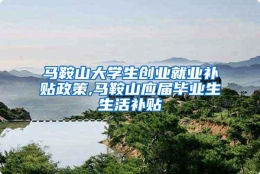 马鞍山大学生创业就业补贴政策,马鞍山应届毕业生生活补贴