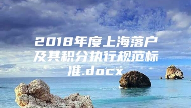 2018年度上海落户及其积分执行规范标准.docx