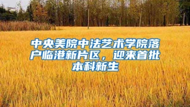 中央美院中法艺术学院落户临港新片区，迎来首批本科新生