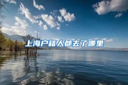 上海户籍人都去了哪里