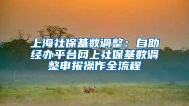 上海社保基数调整：自助经办平台网上社保基数调整申报操作全流程