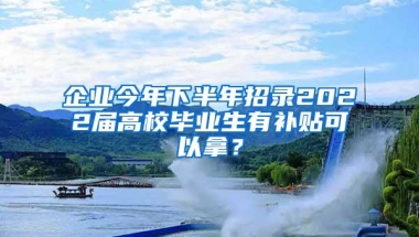 企业今年下半年招录2022届高校毕业生有补贴可以拿？