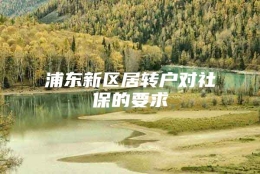 浦东新区居转户对社保的要求